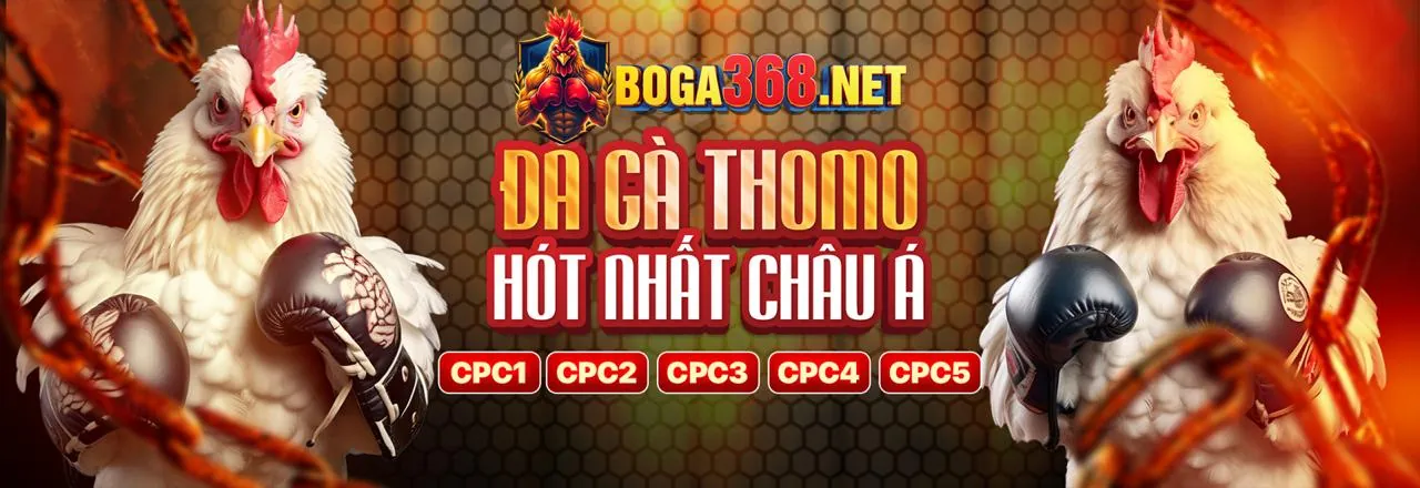 Nhà Cái Dafabet 2026: Cá Cược Thể Thao Hàng Đầu Việt Nam